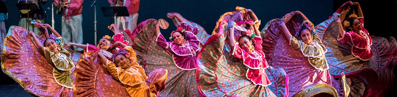 DIEFF India Festival Gallery - Photos and Videos